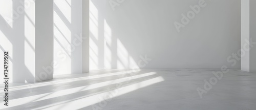 Modern White Gallery Space with Sunlight and Shadows