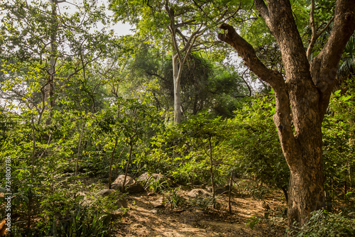 Photography The ridge of Delhi or New Delhi