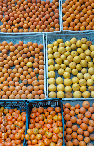 Oranges, lemons and tangerines on the grocery counter