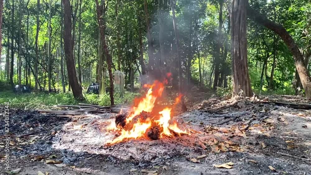 natural waste burning It could be the cause of a forest fire natural waste burning It could be the cause of a forest fire