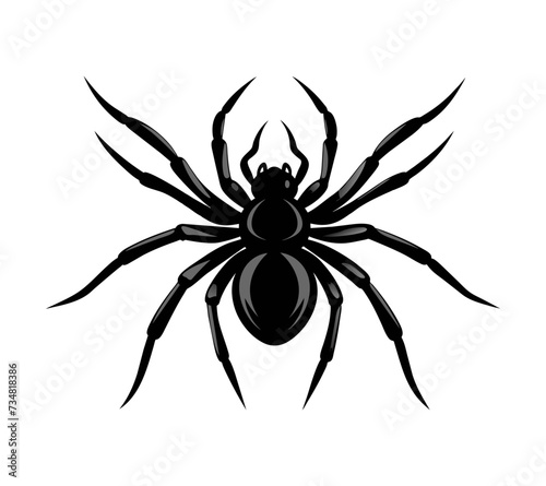 Spider silhouettes. Vector black tarantula