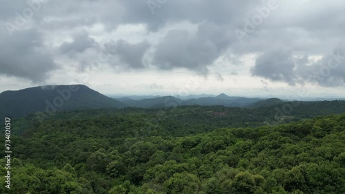 Nature's Symphony: Aerial Harmony Across Diverse Landscapes