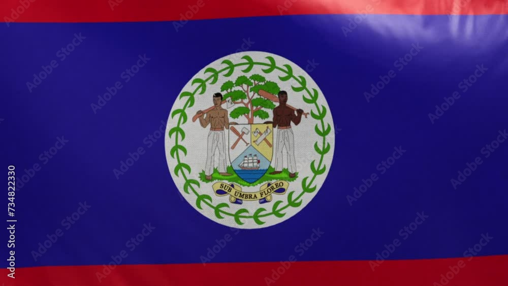 Belize flag. Belize flag waving in the wind. Full screen, flat, cloth material texture. National Flag. Loopable. Looping. CGI graphic animation HD