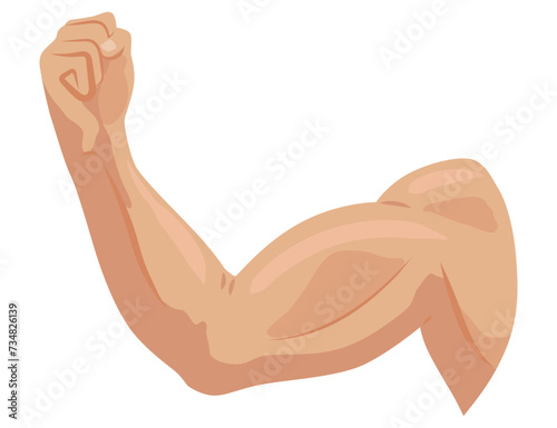 Male biceps muscles icons set. Sportsman arm with strong biceps. Vector symbol of healthy power. Athletic body with tense muscles hand isolated onwhite background