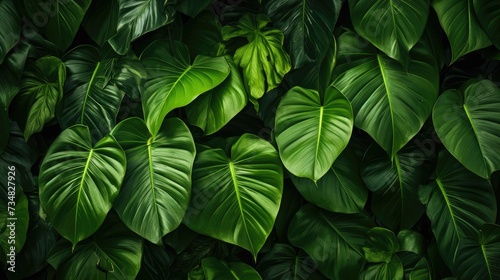 Lush Leafy Greens Seamless Texture © Classy designs