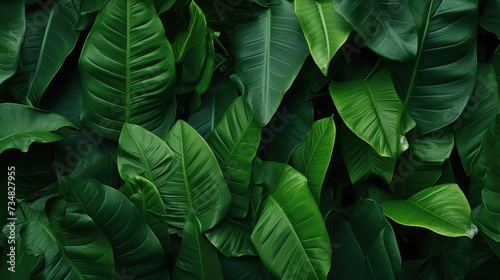 Lush Leafy Greens Seamless Texture