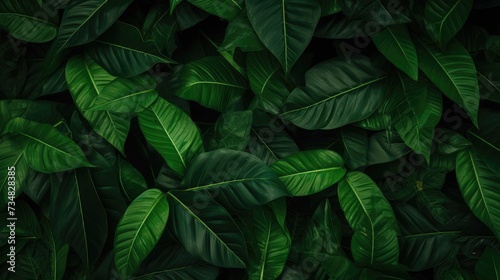 Opulent Dark Green Leaf Texture