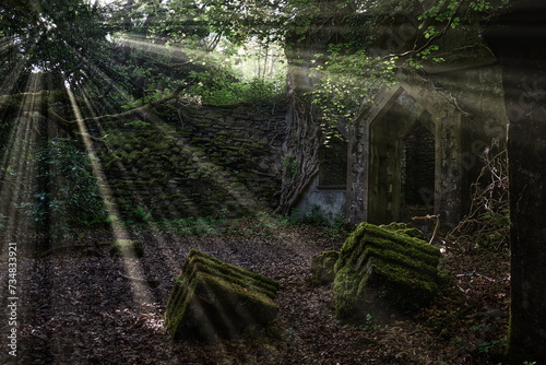 Lichtstrahlen in Ruine   Lost Place mit Moos und Laub im Wald 