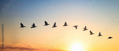 Spring Migration - Birds flying in a V-formation against a clear dawn sky, signaling the return of migratory species in March.  photo