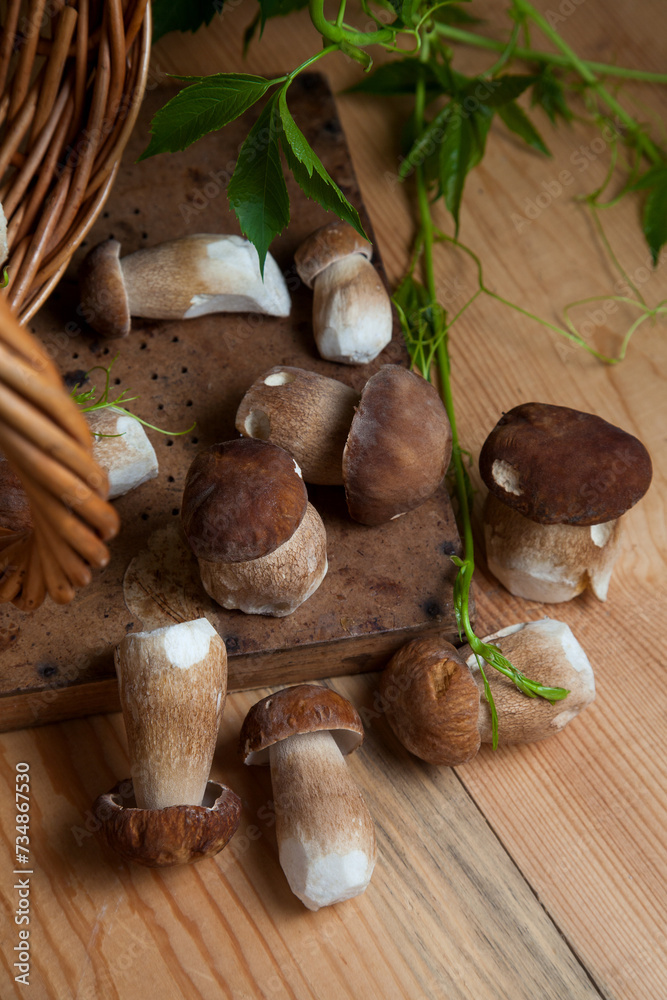 Selective focus on beautyfull porcini mushroom among the pile of wild porcini mushrooms on wooden background at autumn season.. Selective focus on beautyfull porcini mushroom among the pile of wild porcini mushrooms on wooden background at autumn season..