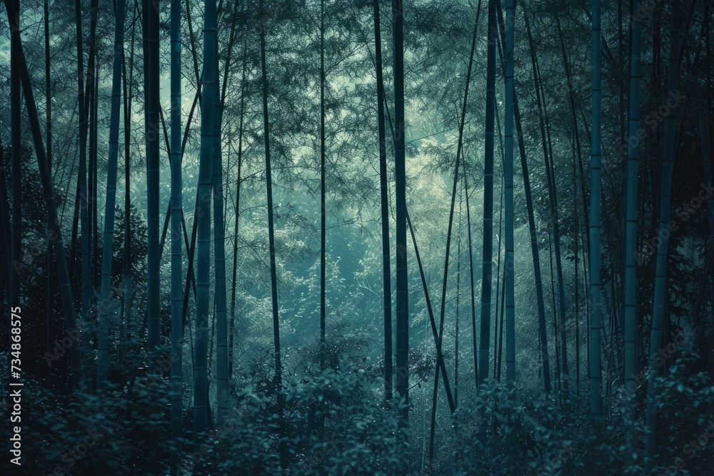 Obraz premium Organic Elegance Dark Teal Bamboo Grove in Velvia Tones with Lo-Fi Aesthetics - Architectural and Natural Harmony