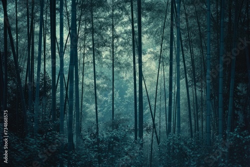 Organic Elegance Dark Teal Bamboo Grove in Velvia Tones with Lo-Fi Aesthetics - Architectural and Natural Harmony