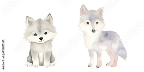 cute wolf watercolor vector illustration
