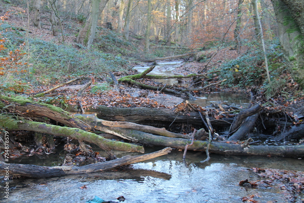 A Leaky Dam - Part of a Flood Prevention Scheme. A Leaky Dam - Part of a Flood Prevention Scheme.