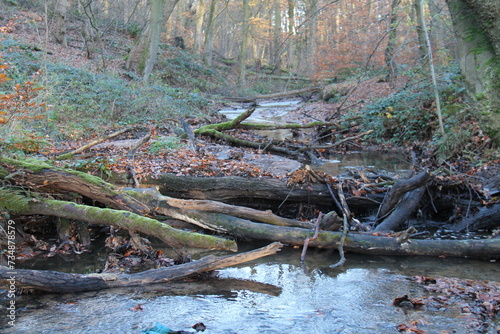 Wallpaper Mural A Leaky Dam - Part of a Flood Prevention Scheme. Torontodigital.ca