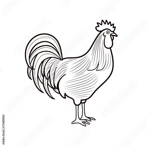 Chicken Rooster Egg Vector