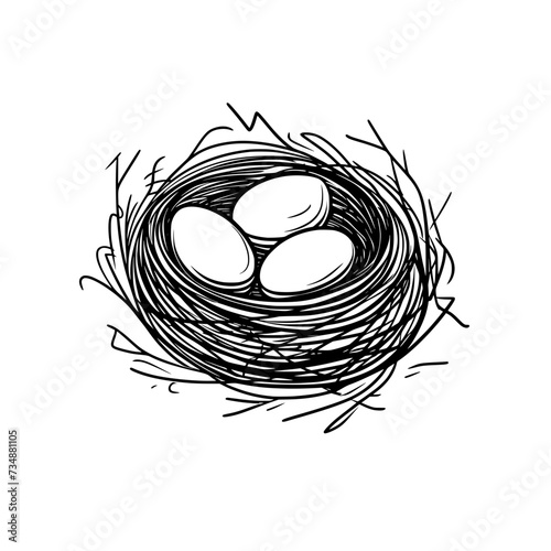 Chicken Rooster Egg Vector