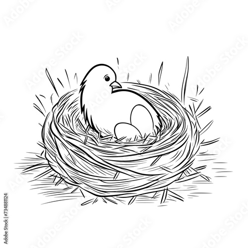 Chicken Rooster Egg Vector