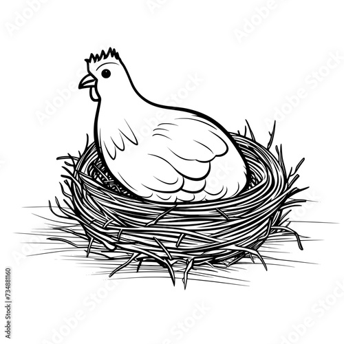 Chicken Rooster Egg Vector
