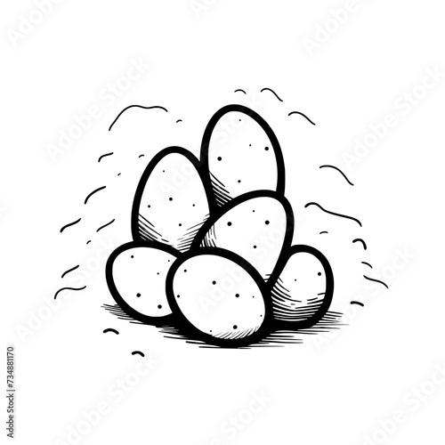 Chicken Rooster Egg Vector