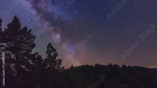 The Milky Way rises over the pine trees on a foreground : Generative AI