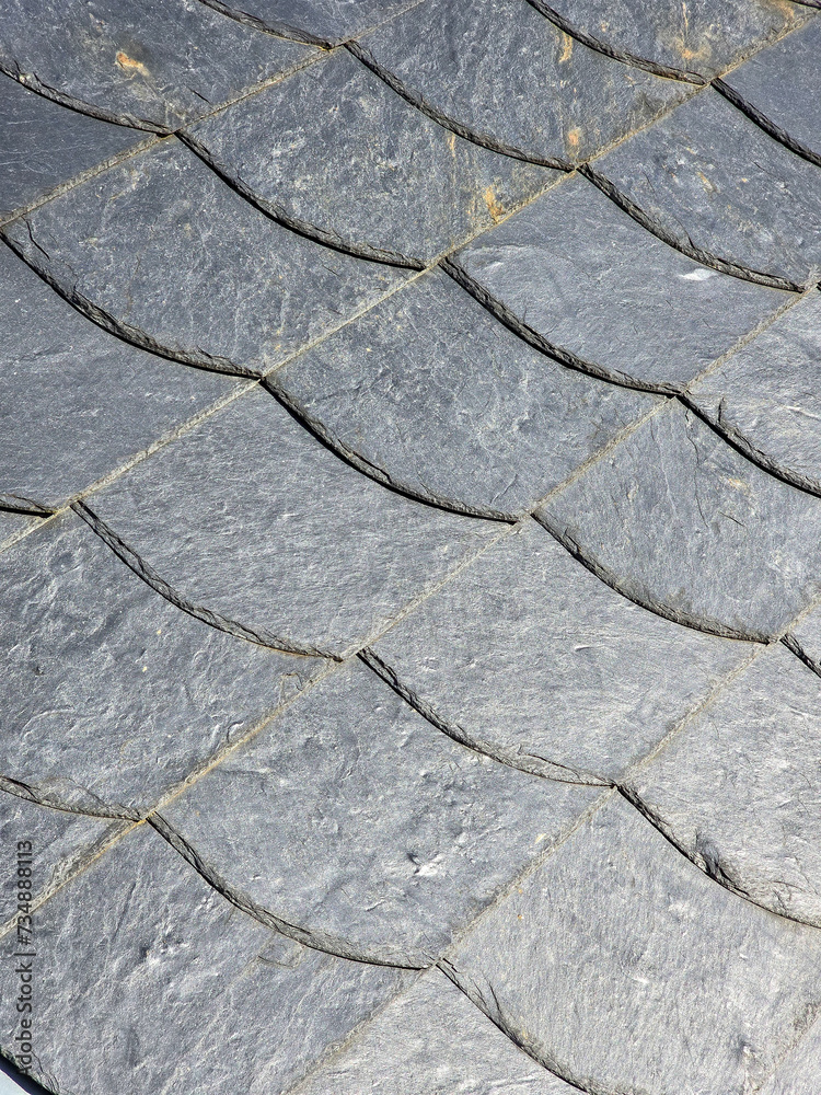 Obraz premium Slate or schist tiled roofing