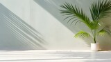 Modern summer minimal of tropical plam leaf tree branch in sunlight with long shadows on concrete plain wall background, copy space interior lifestyle Mediterranean backdrop scene,ai generate