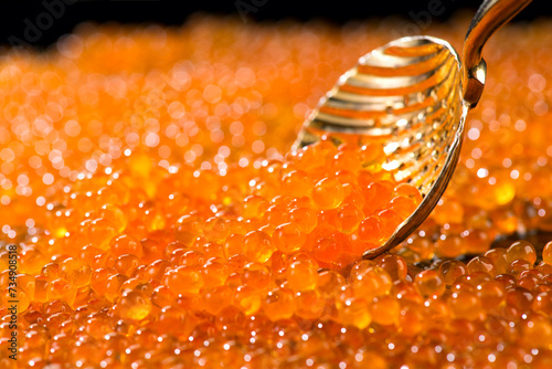 Red Caviar in a spoon. Caviar background. Fish roe, Close-up salmon or trout caviar. Delicatessen. Gourmet food. Texture of caviar. Seafood. 