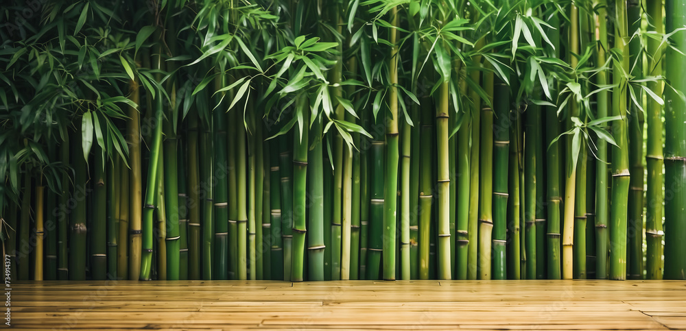 bamboo fence background, empty space surrounded with green bamboo leaves