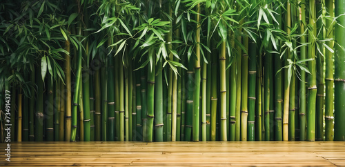 bamboo fence background  empty space surrounded with green bamboo leaves