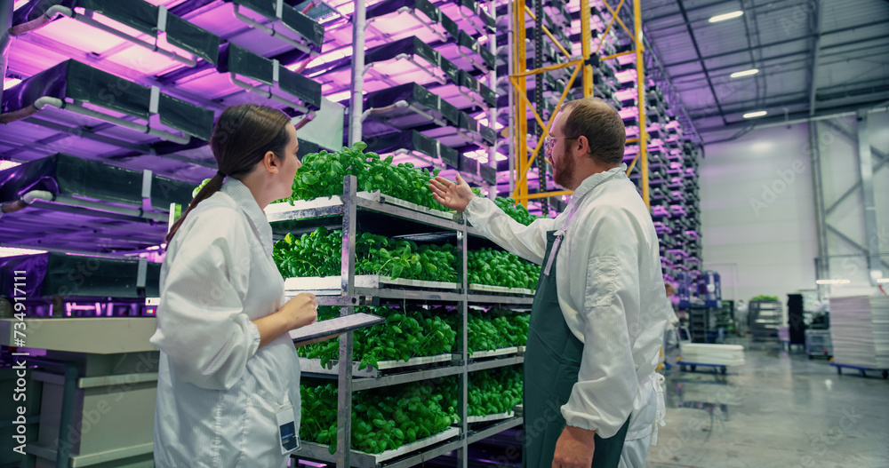 Vertical Plant Farm Specialists Talking Next to a Rack with Fresh Basil Crops. Female and Male Farmers Working Indoors. Multi-layer Hydroponics Farm with Neon Led Lighting in the Background Vertical Plant Farm Specialists Talking Next to a Rack with Fresh Basil Crops. Female and Male Farmers Working Indoors. Multi-layer Hydroponics Farm with Neon Led Lighting in the Background