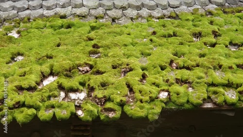 Fragment of roof covered with moss of wooden medieval church