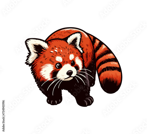 Fototapeta Naklejka Na Ścianę i Meble -  Red Panda hand drawn vector illustration graphic
