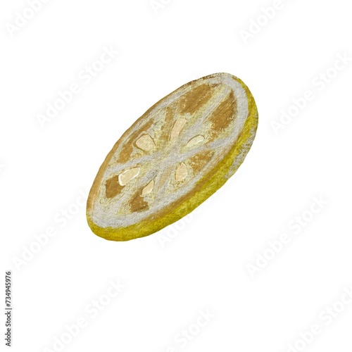 Lemon fruit yellow slice a watercolor illustration