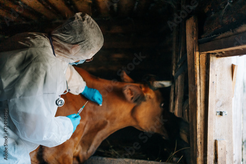 Vaccination of cattle against anthrax virus. A careful veterinarian in full protective gear is treating a cow inside a barn, showcasing the importance of animal healthcare in farming.