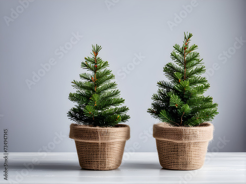 small Christmas tree in a burlap pot on a white isolated background