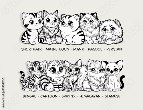 Adorable cartoon cat breeds collection in black and white for coloring book, perfect for pet lovers designs, vector illustration