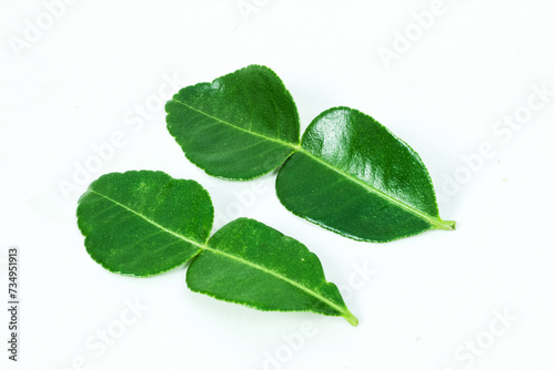 close-up of daun jeruk purut (citrus hystrix) as a cooking fragrance. isolated white photo