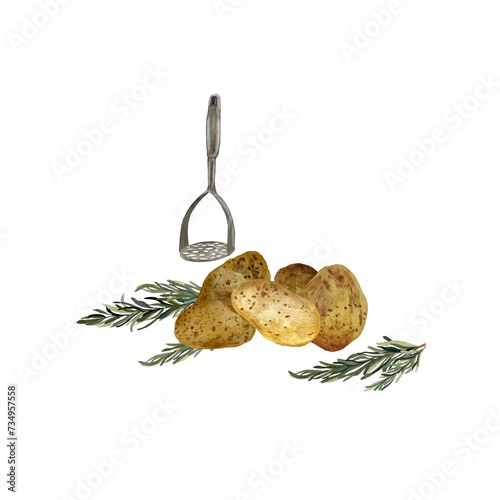 Potato masher tubers rosemary a watercolor sketch