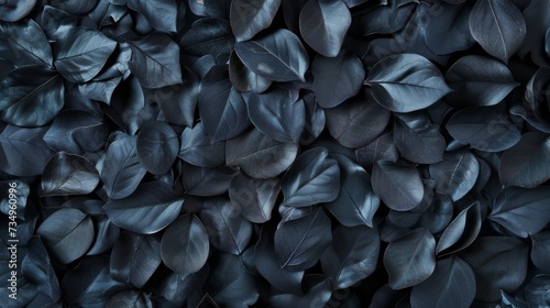 Flat-lay of dense black leaves creating a dark, textured backdrop with shades of black.