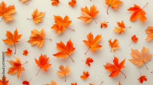 Close-up of dense autumn maple leaves creating a warm, textured backdrop with shades of orange and red.
