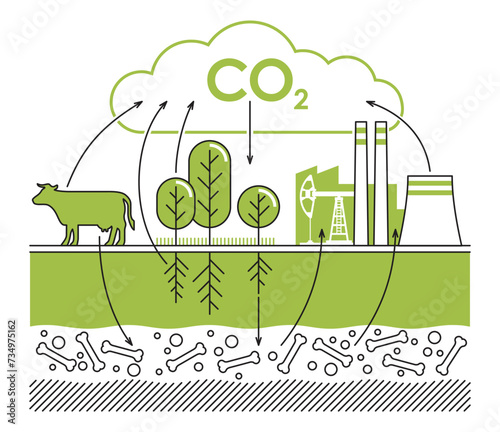 CO2 cycle - visual aid for scientific reports