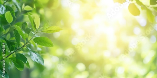 Beautiful nature view of green leaf on blurred greenery background in garden and sunlight with copy space © Intelligence Studio