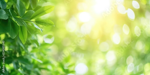Beautiful nature view of green leaf on blurred greenery background in garden and sunlight with copy space