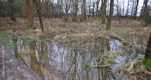 Tophill Low Nature reserve  East Yorkshire, 4K Video. photo