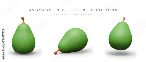 3D whole green avocado in vertical, horizontal, inclined position