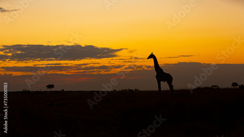 Couché de soleil africain