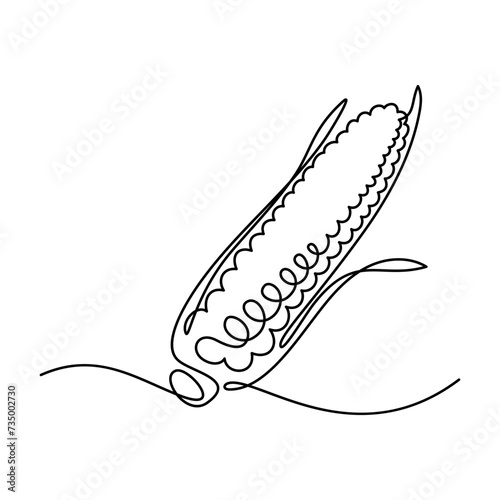 Maize ear in continuous line art drawing style. Corn cob black linear sketch isolated on white background. Vector illustration