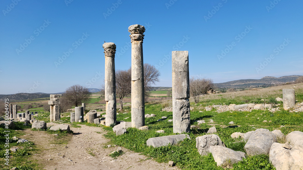 The columns on the colonnaded street in the Castabala - Hierapolis ancient city in the ancient Cilicia in southern Turkey