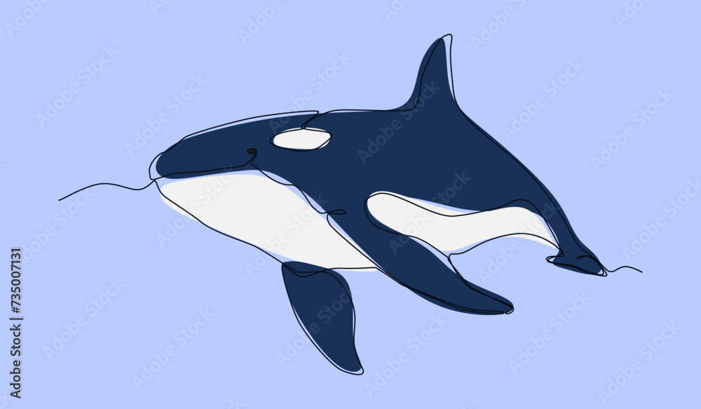 Fototapeta premium orca or killer whale in continuous one line drawing style. editable stroke and colored. vector illustration.